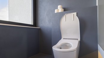 Ein modernes Badezimmer mit einer weißen Toilette vor einem großen Fenster, das Tageslicht hereinlässt.